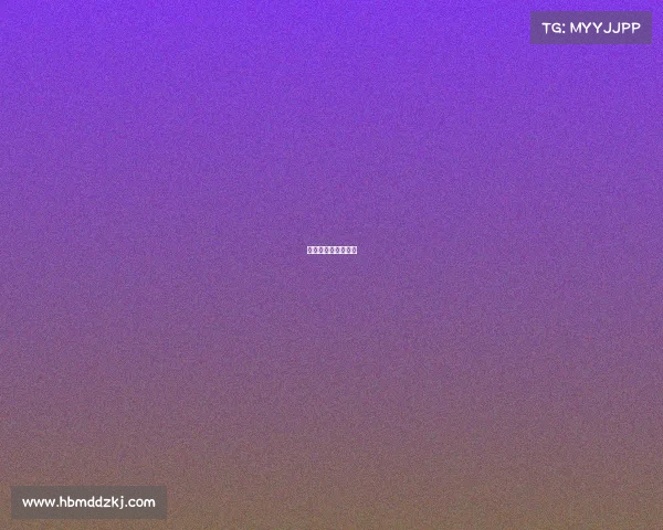 散打比赛有哪些名称